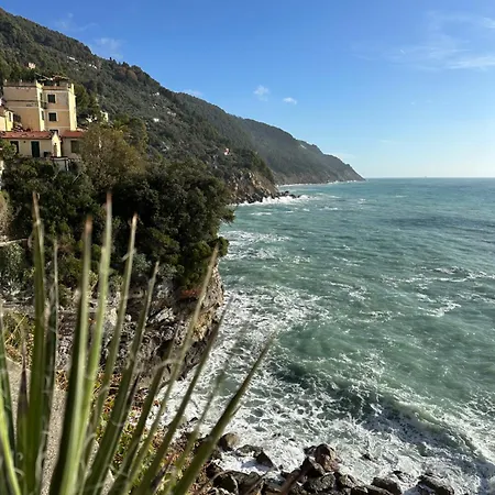 Ancient Tellaro - Free Parking Lerici